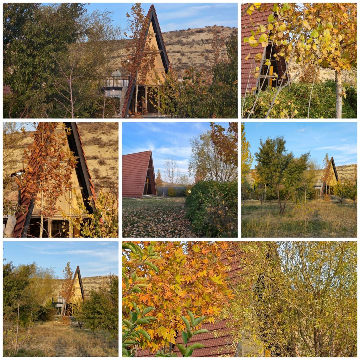 باغ تفریحی و توریستی